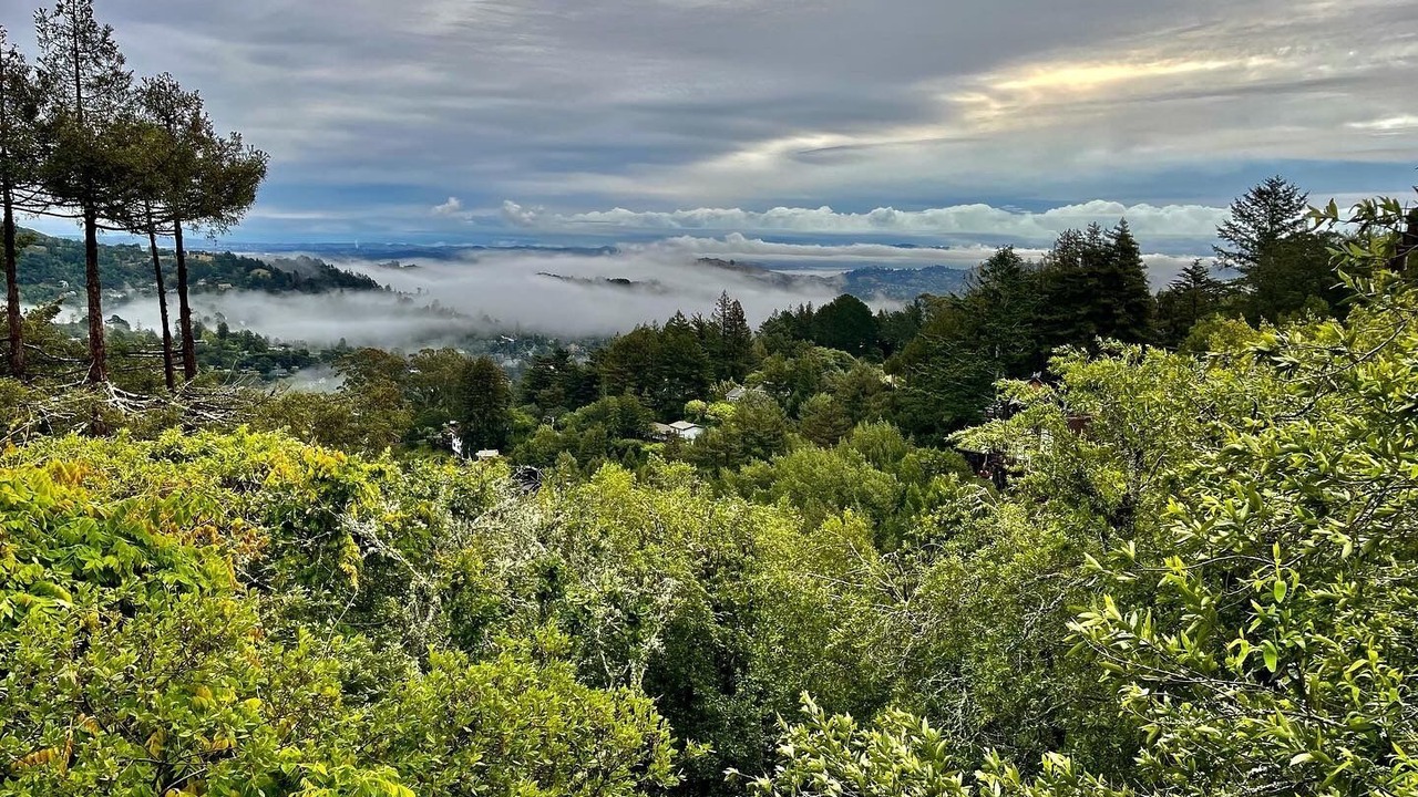 Photo of Others in Mill Valley
