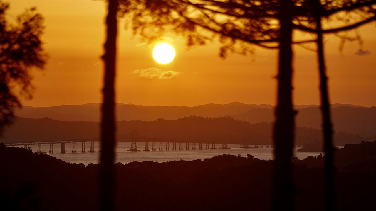 Photo of Outdoor in Mill Valley
