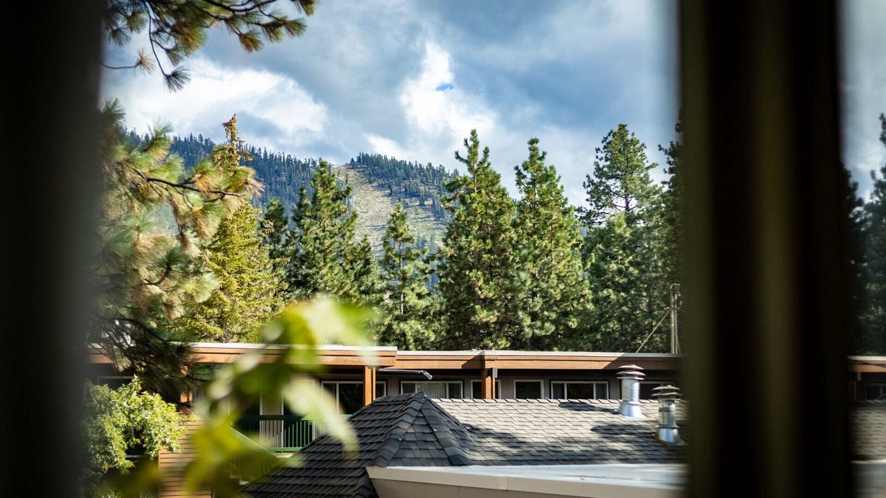 Photo of Others in Tahoe Meadows