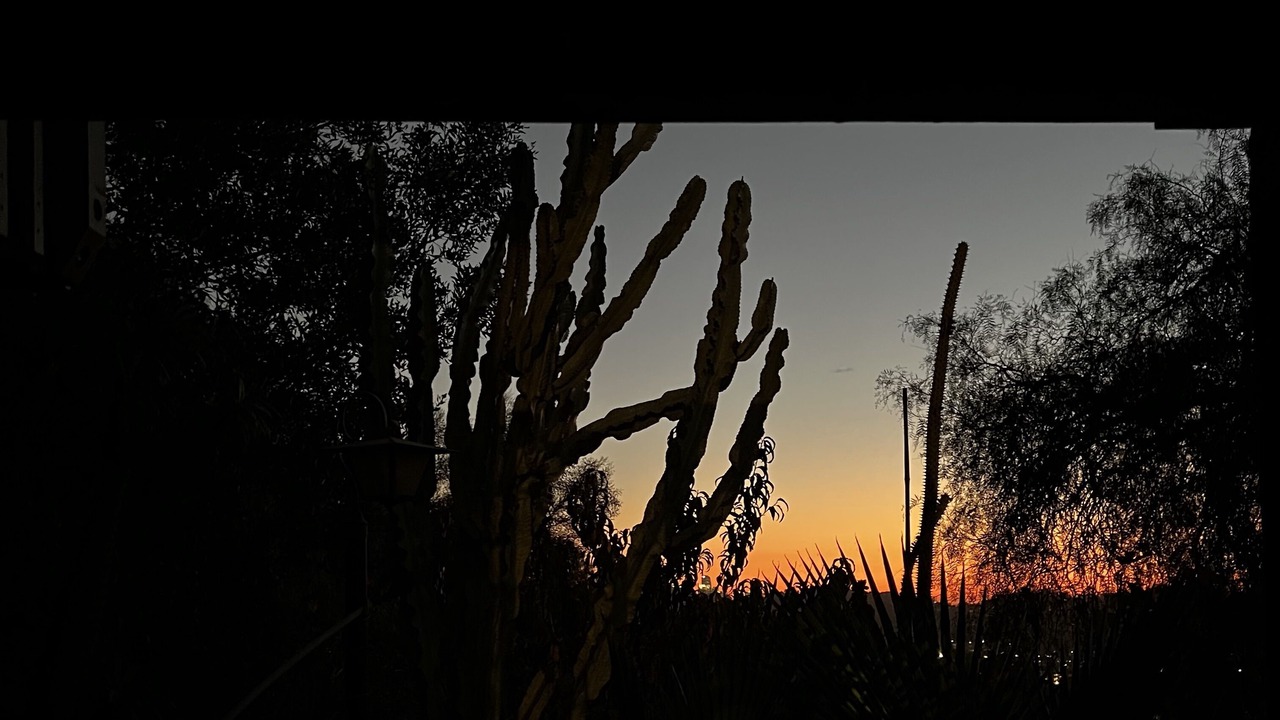 Photo of Outdoor in Los Angeles