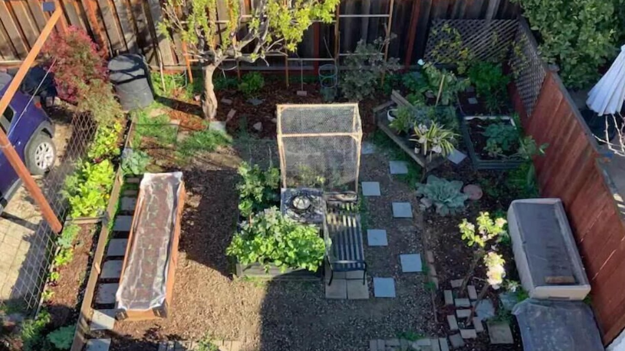 Photo of Outdoor in West Alameda
