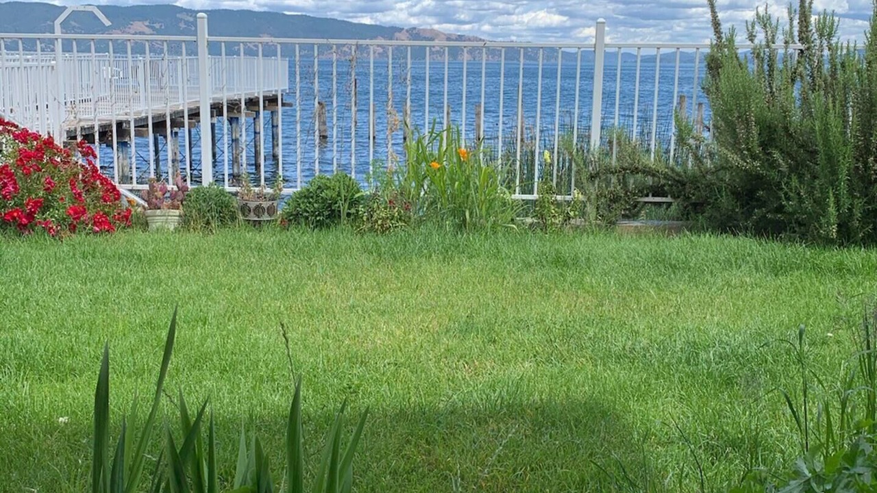 Photo of Outdoor in North Lakeport