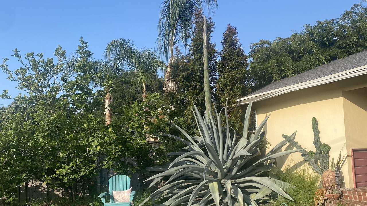 Photo of Outdoor in Altadena