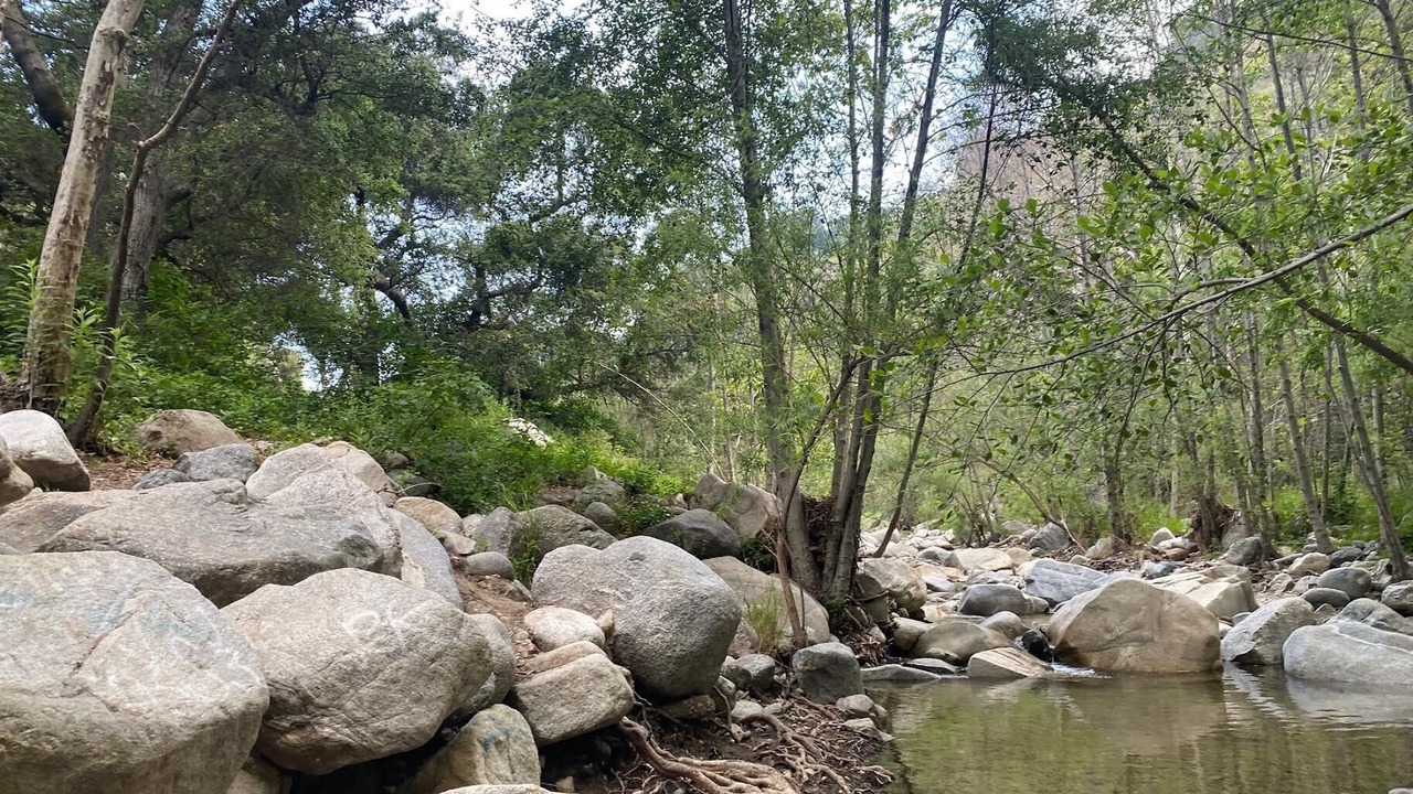 Photo of Others in Altadena