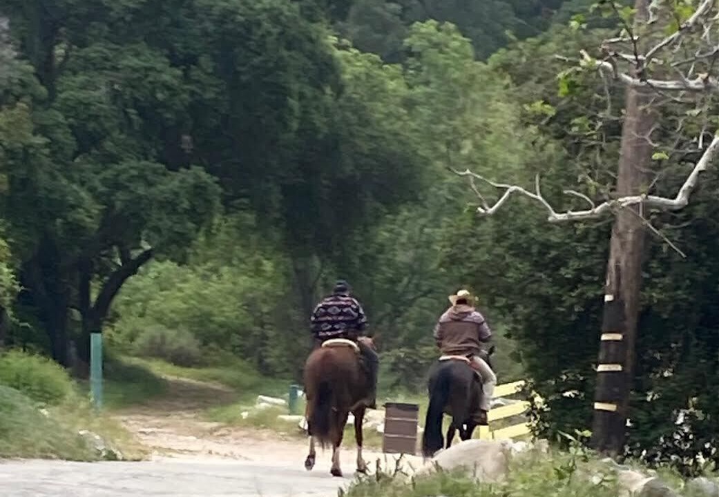 Photo of Others in Altadena