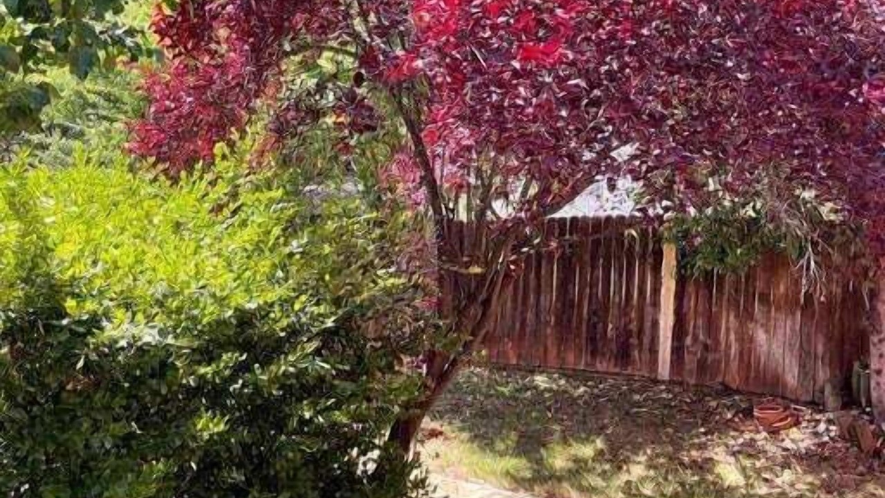 Photo of Outdoor in North Auburn