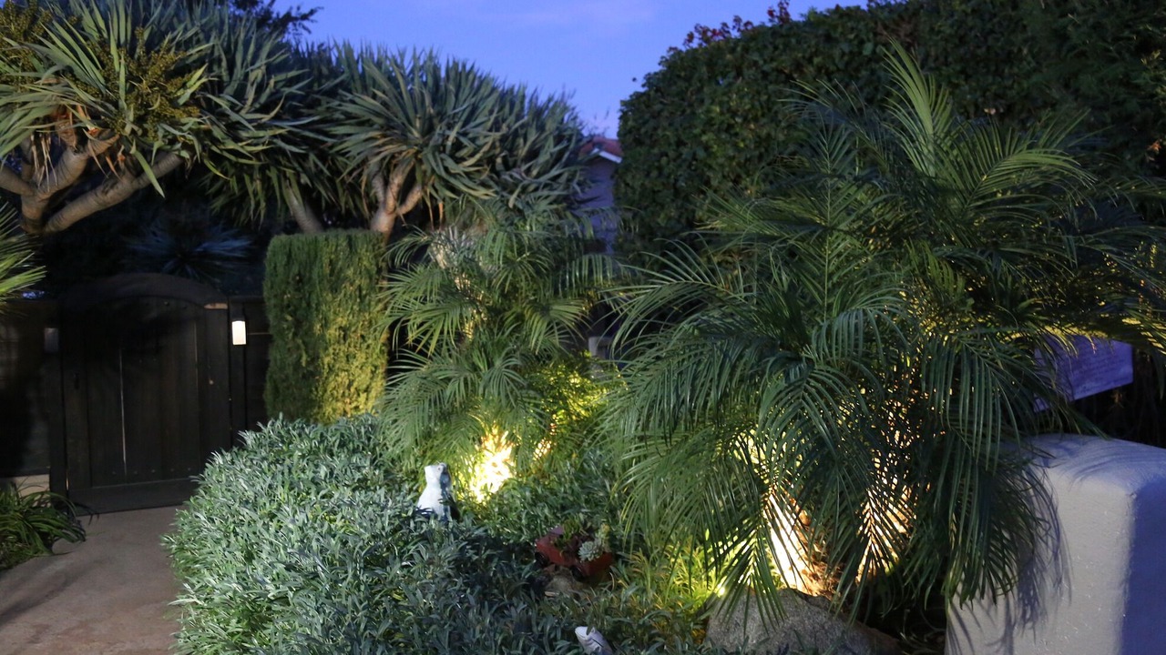 Photo of Outdoor in Vista