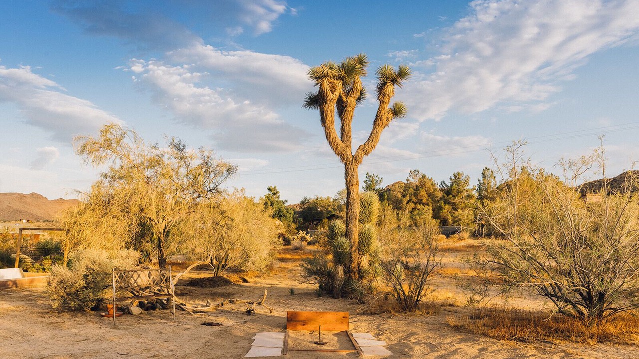 Photo of Others in Joshua Tree Highlands