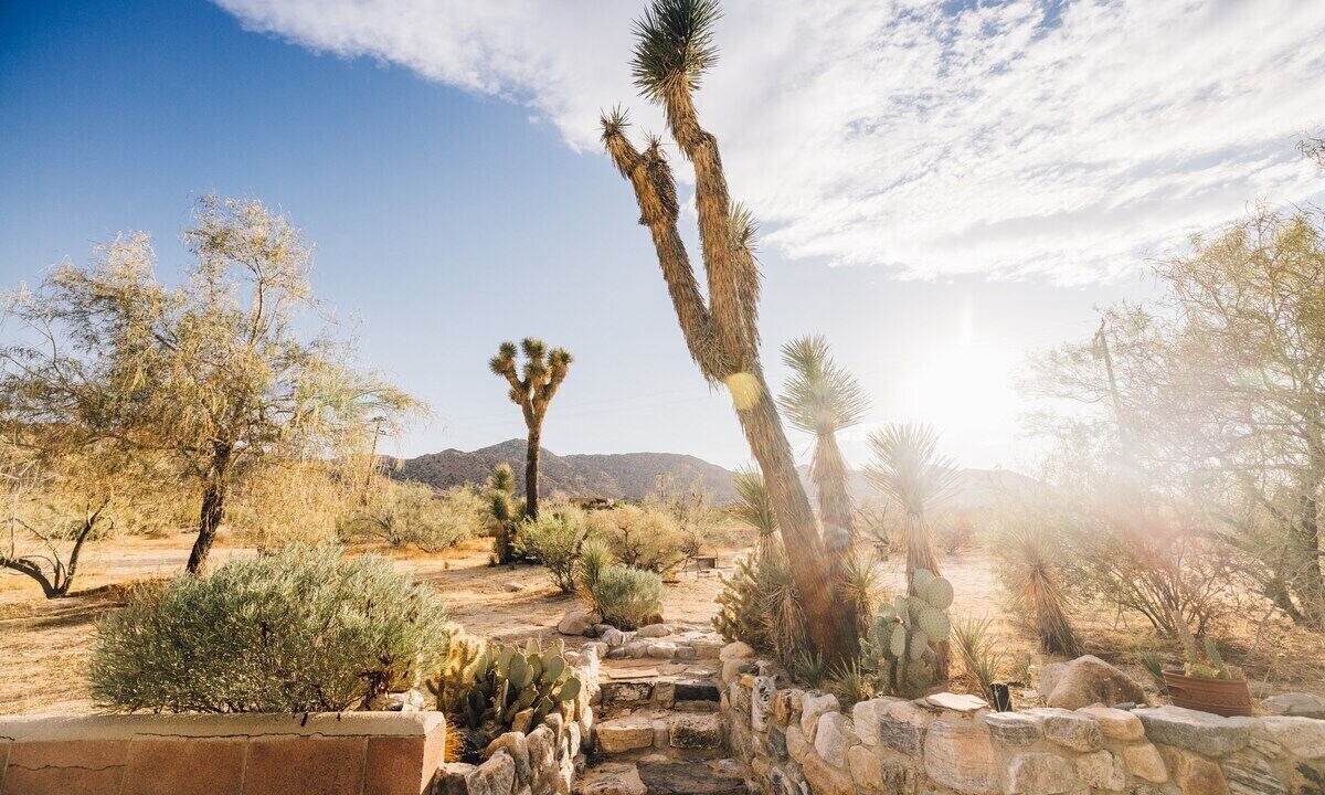 Photo of Others in Joshua Tree Highlands