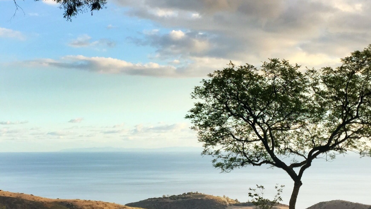 Photo of Others in Malibu