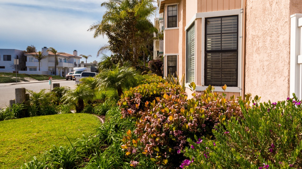 Photo of Outdoor in Oxnard Shores