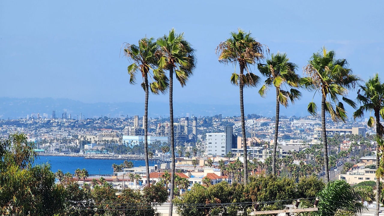 Photo of Others in Redondo Beach