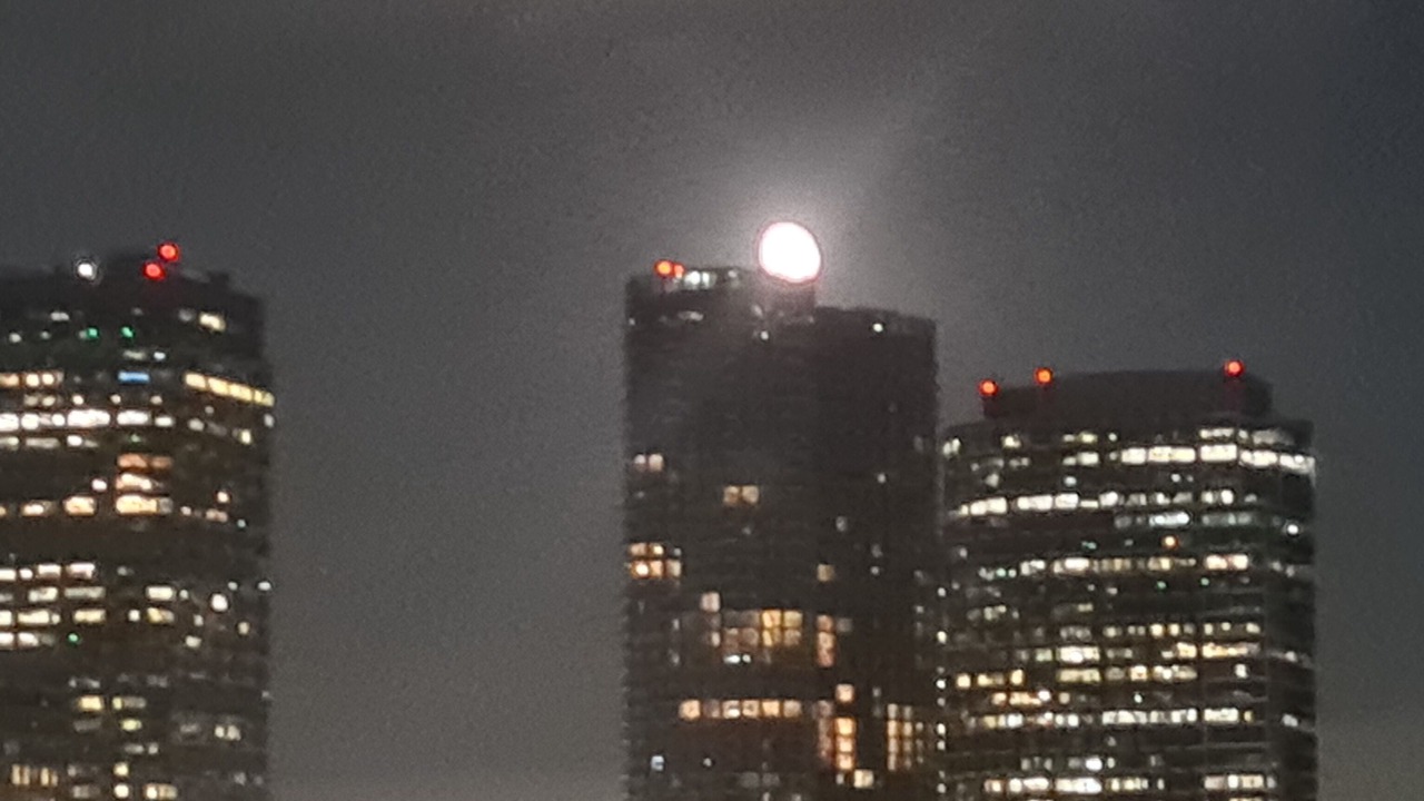 Photo of Outdoor in Westwood