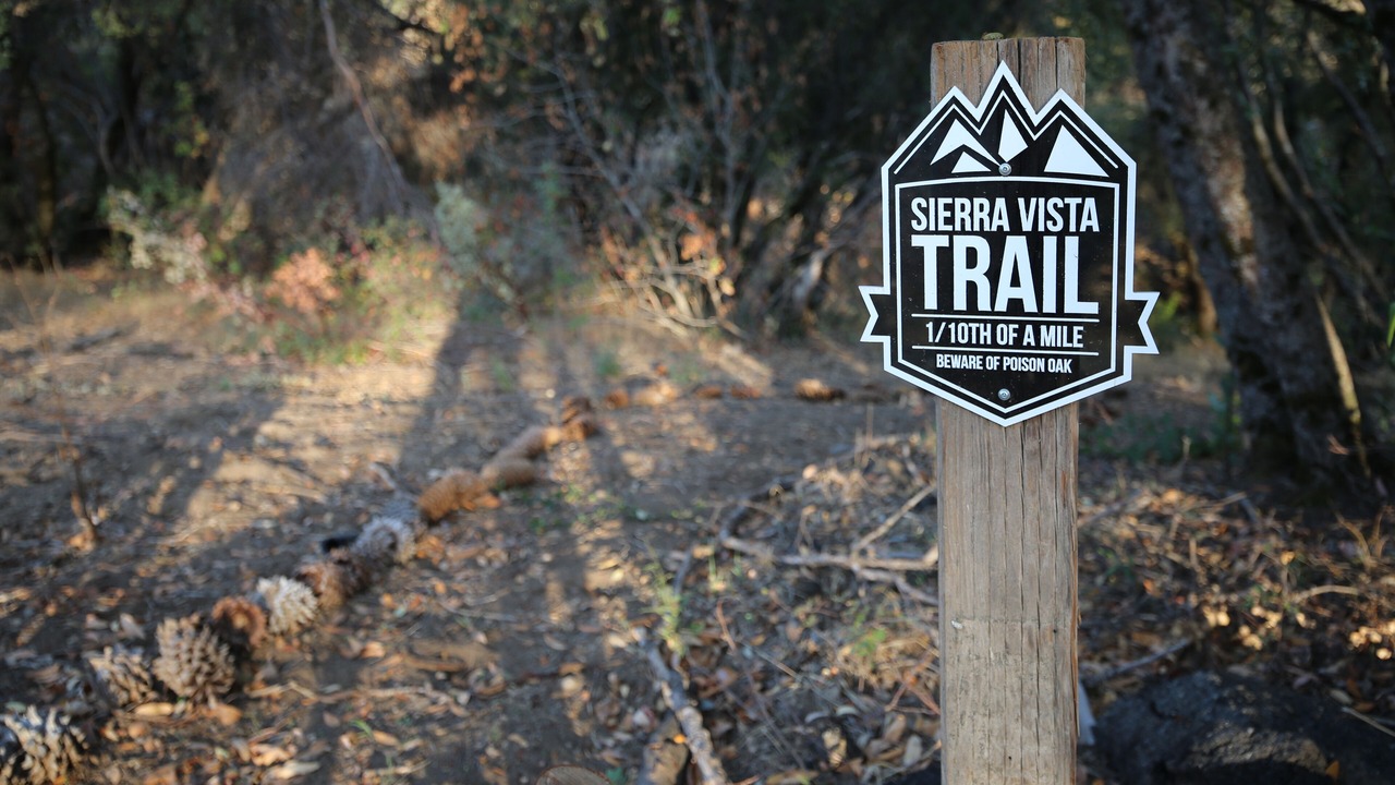 Photo of Outdoor in Oakhurst