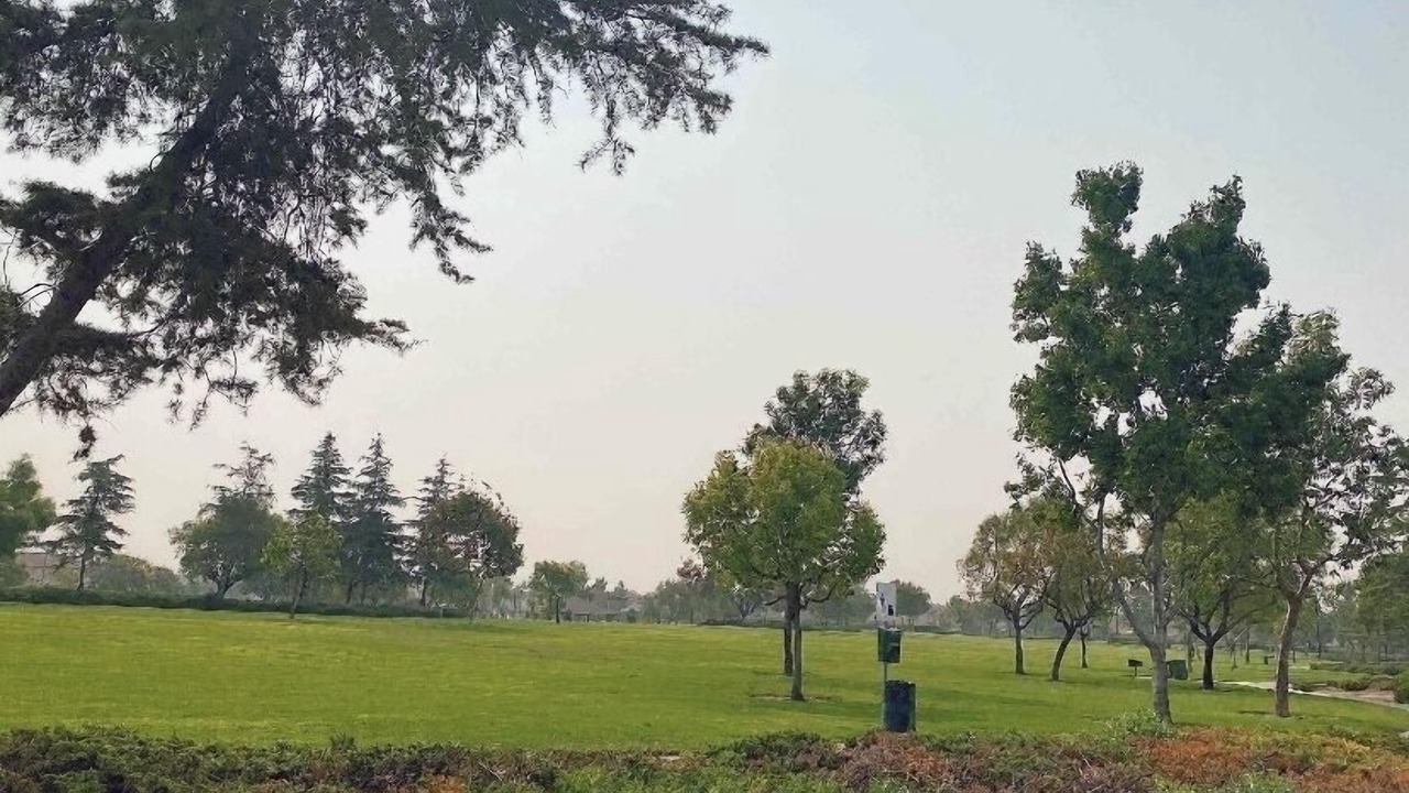 Photo of Others in Eastvale