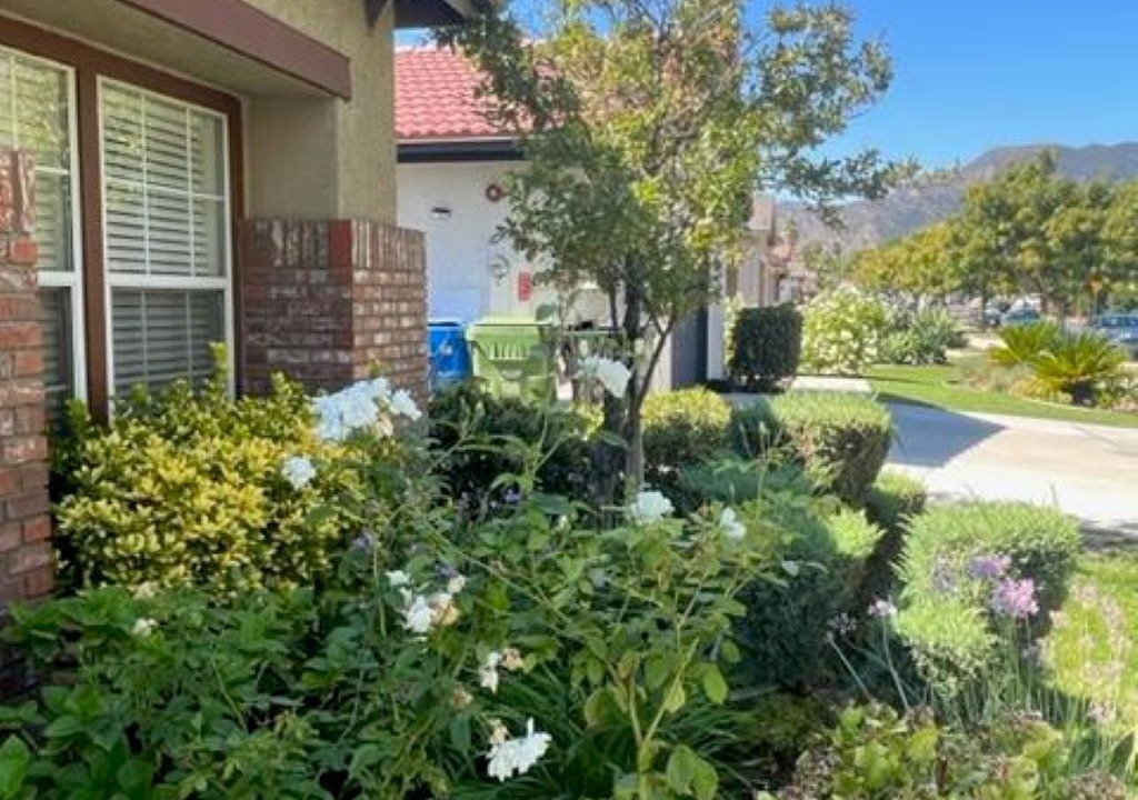 Photo of Outdoor in Sylmar