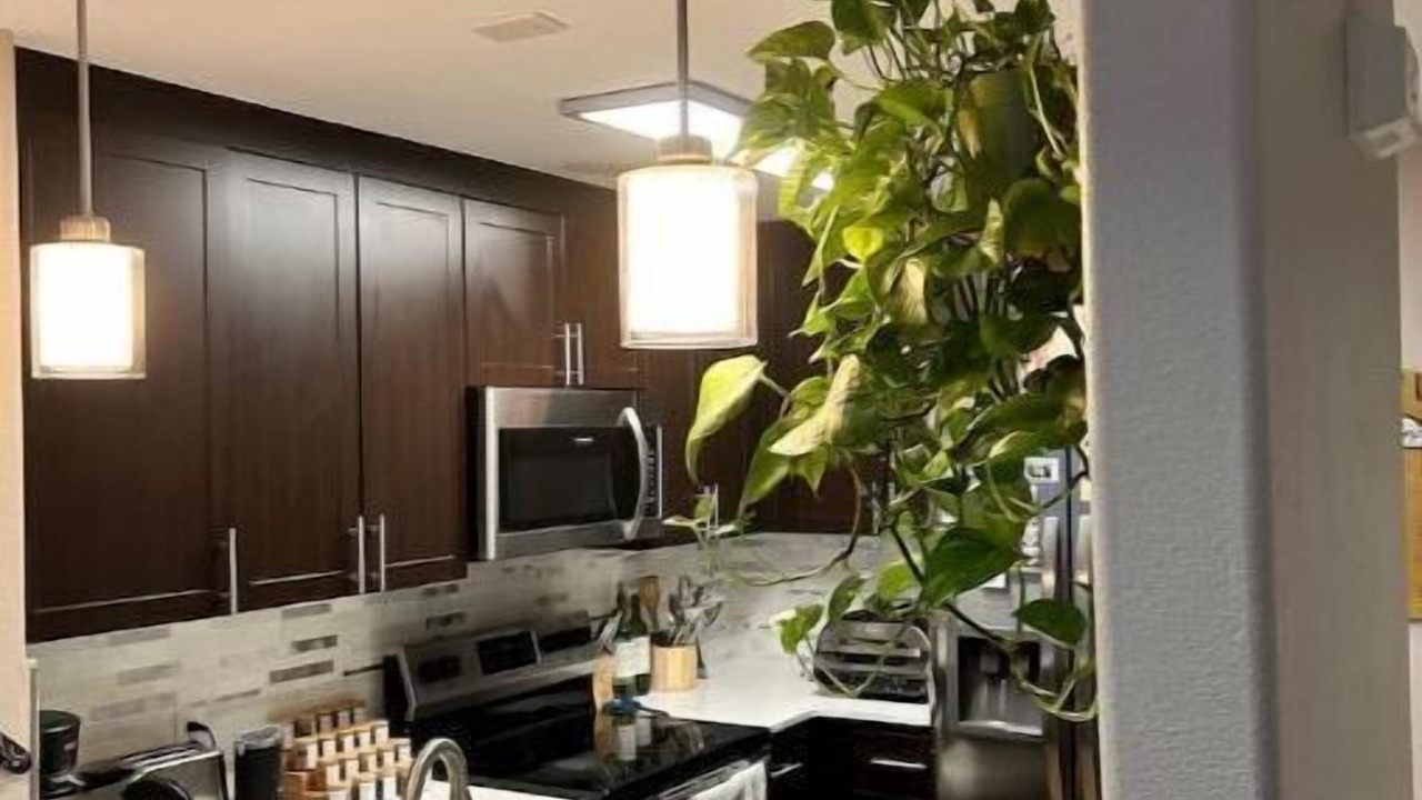 Photo of Kitchen in Saranap