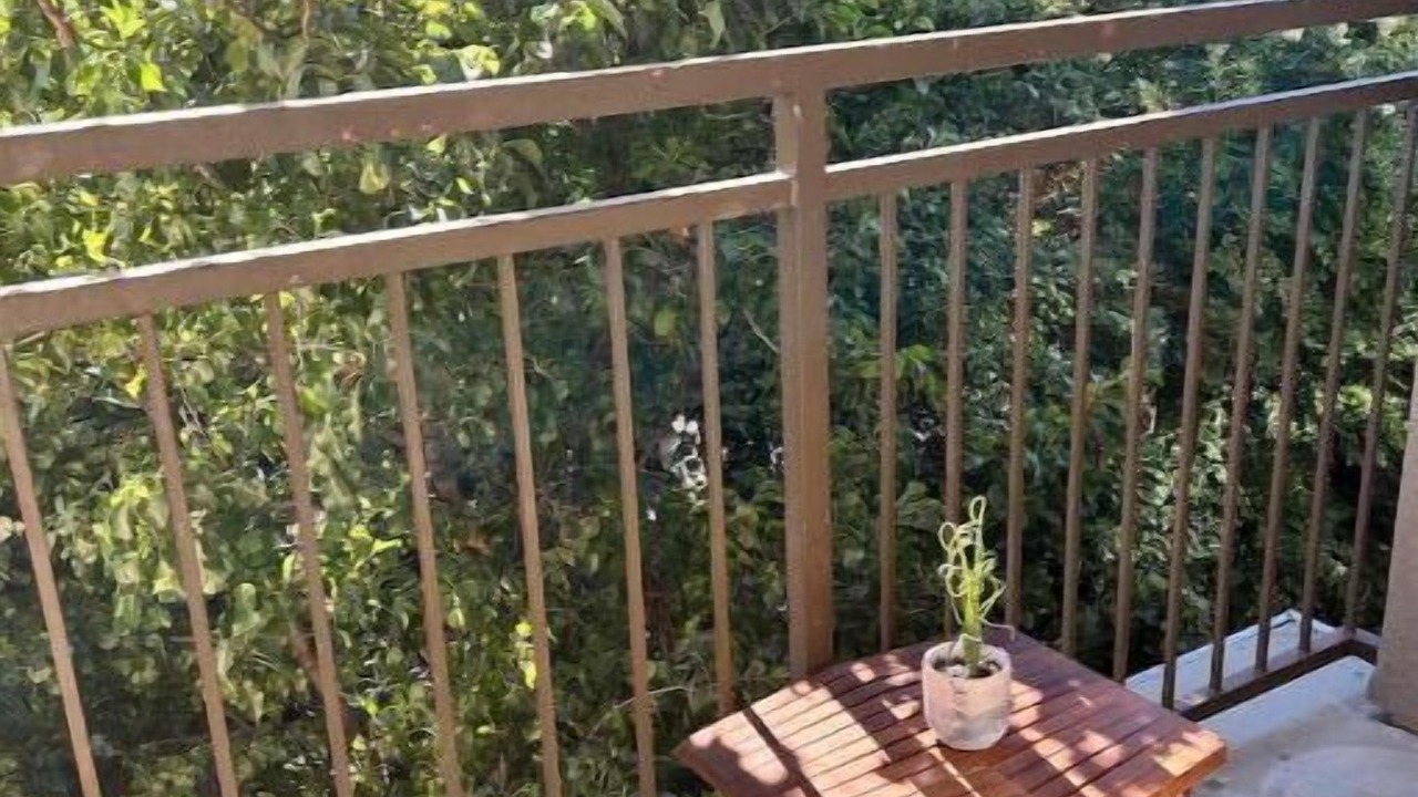 Photo of Outdoor in Saranap