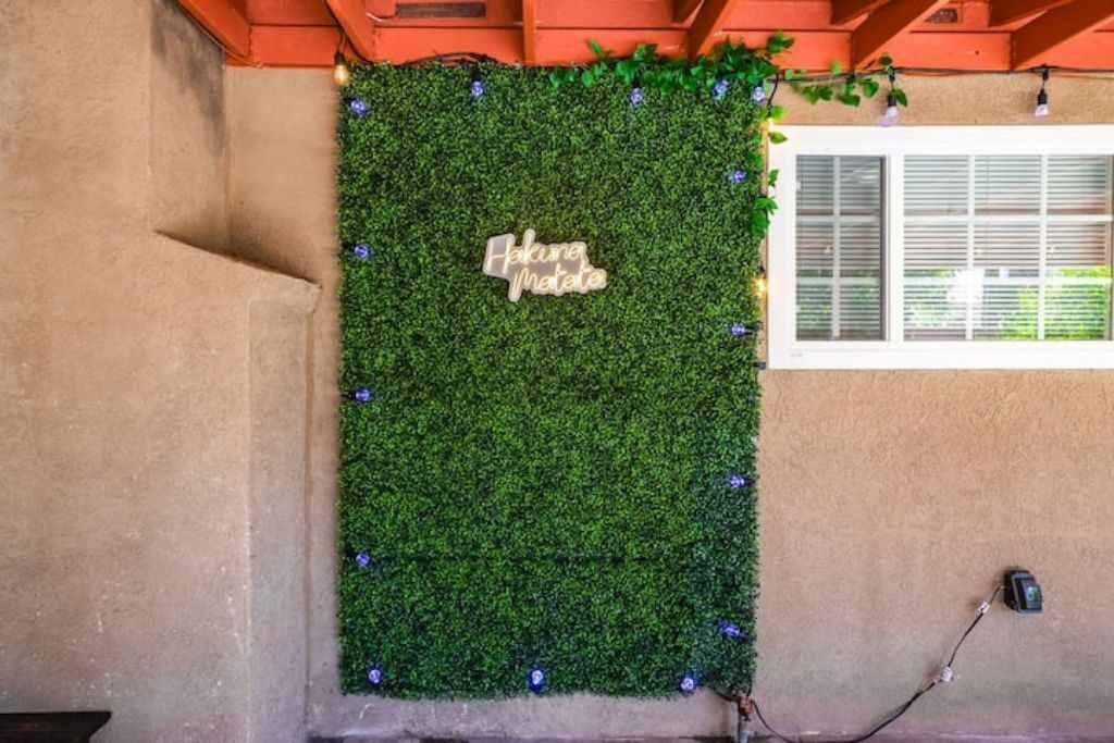 Photo of Outdoor in Santa Ana
