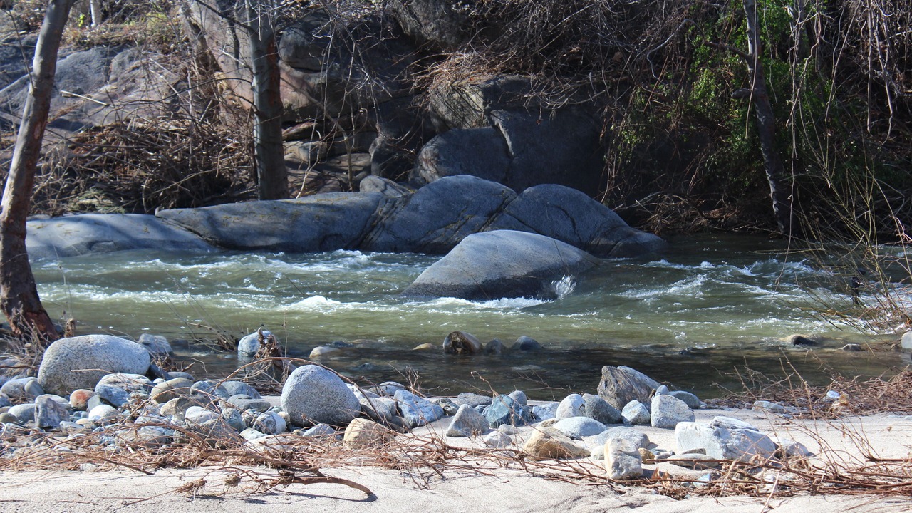 Photo of Others in Kaweah