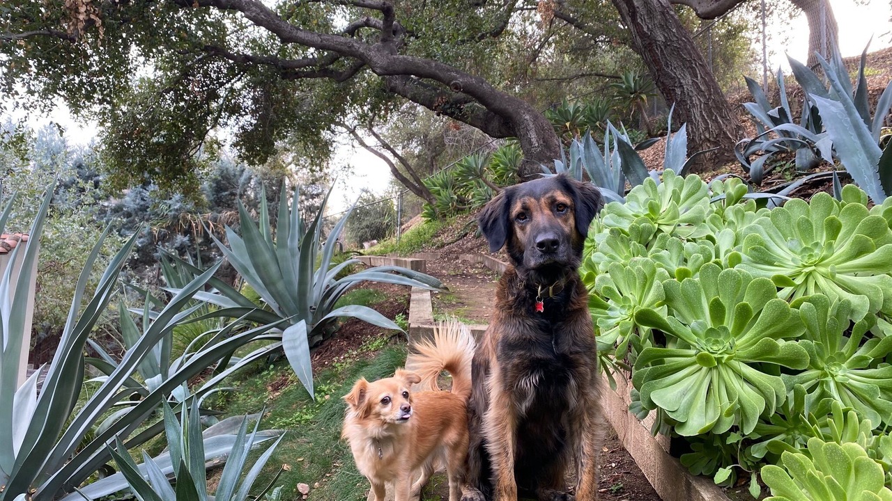 Photo of Outdoor in Eagle Rock