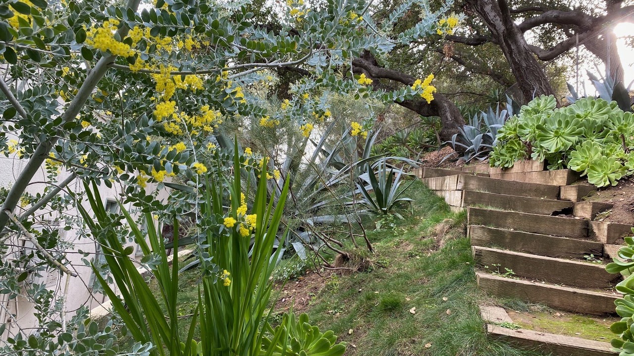 Photo of Outdoor in Eagle Rock