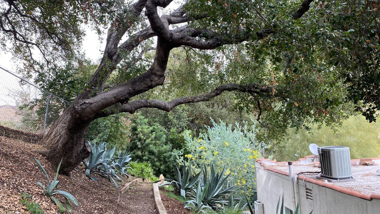 Photo of Outdoor in Eagle Rock