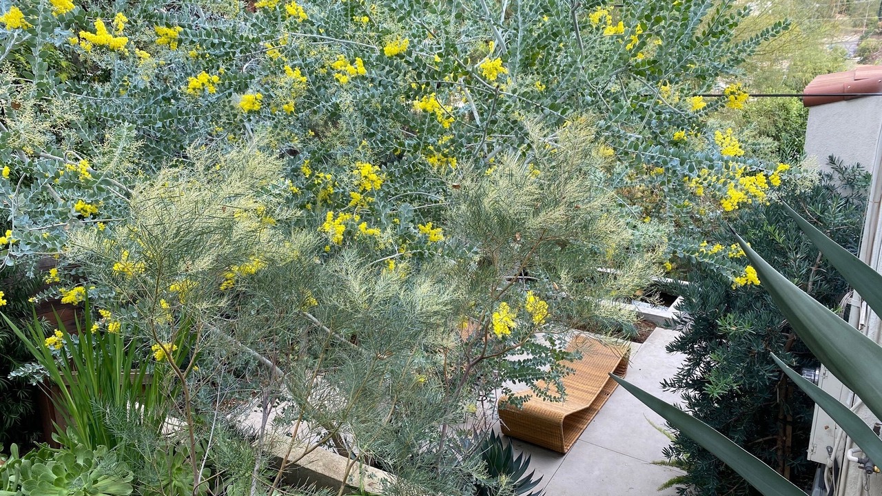 Photo of Outdoor in Eagle Rock
