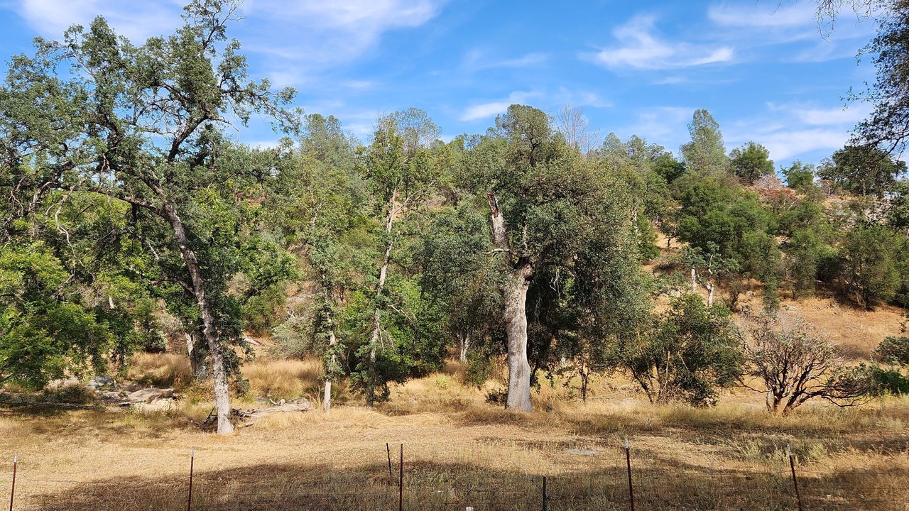 Photo of Others in Mariposa