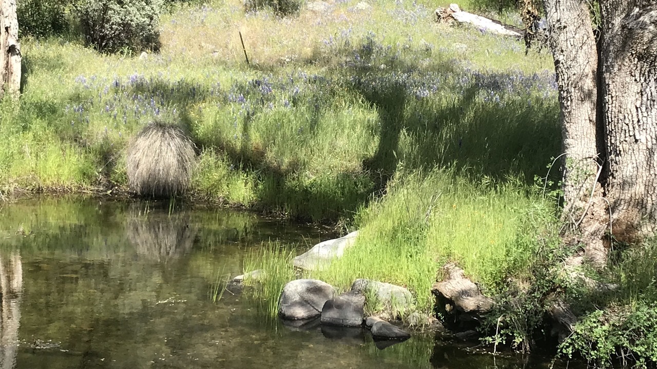 Photo of Others in Mariposa