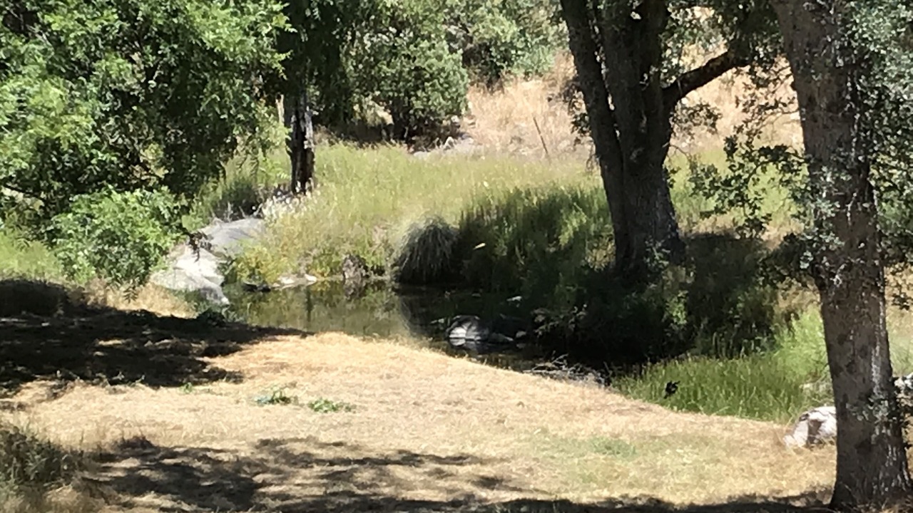 Photo of Outdoor in Mariposa