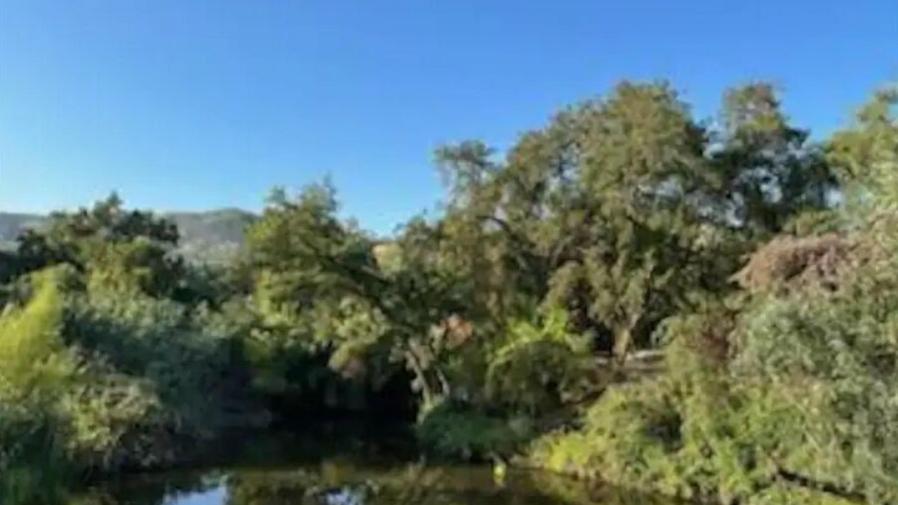 Photo of Outdoor in Springville