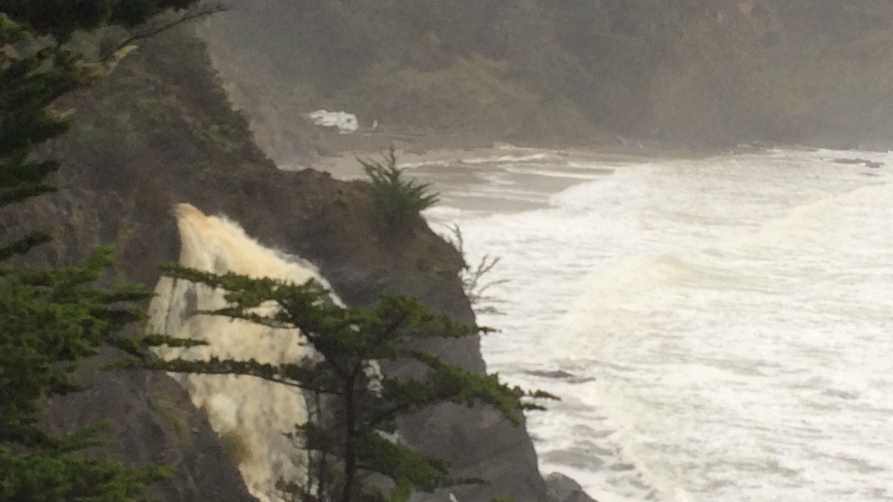 Photo of Others in Anchor Bay