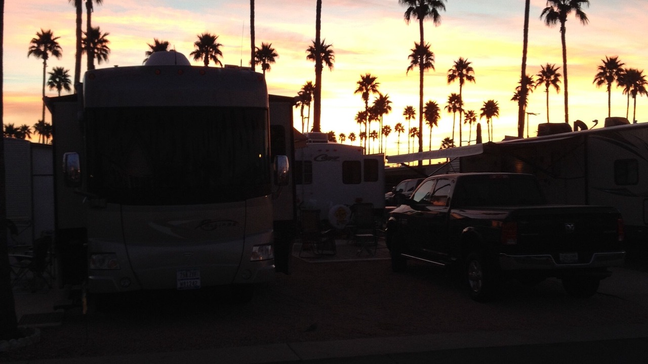 Photo of Others in Desert Palms