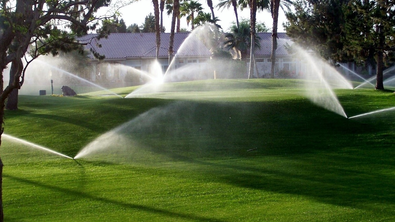 Photo of Others in Desert Palms