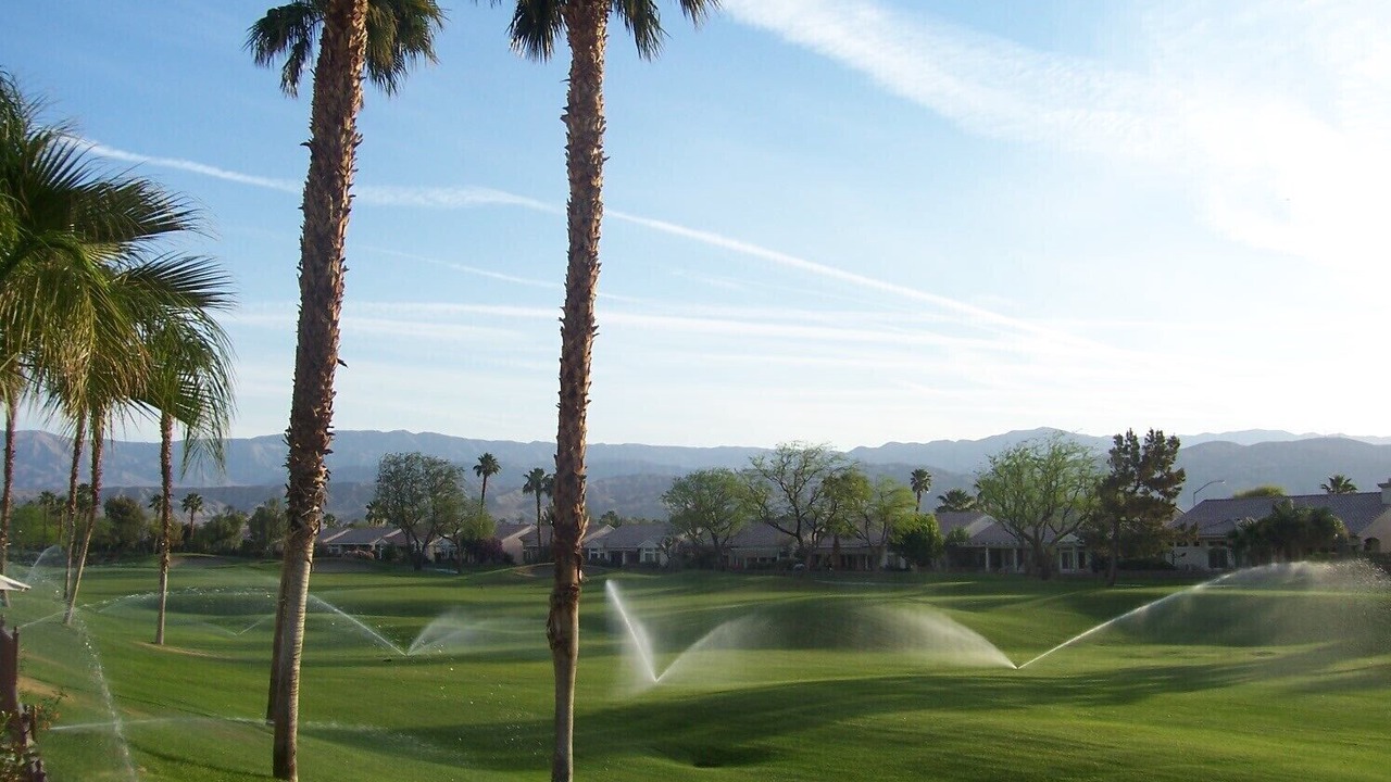 Photo of Others in Desert Palms