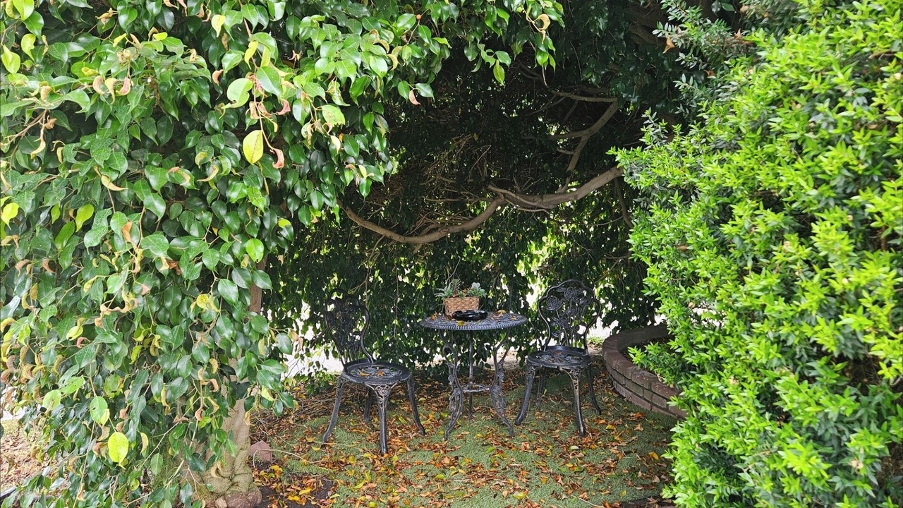Photo of Outdoor in Harbor