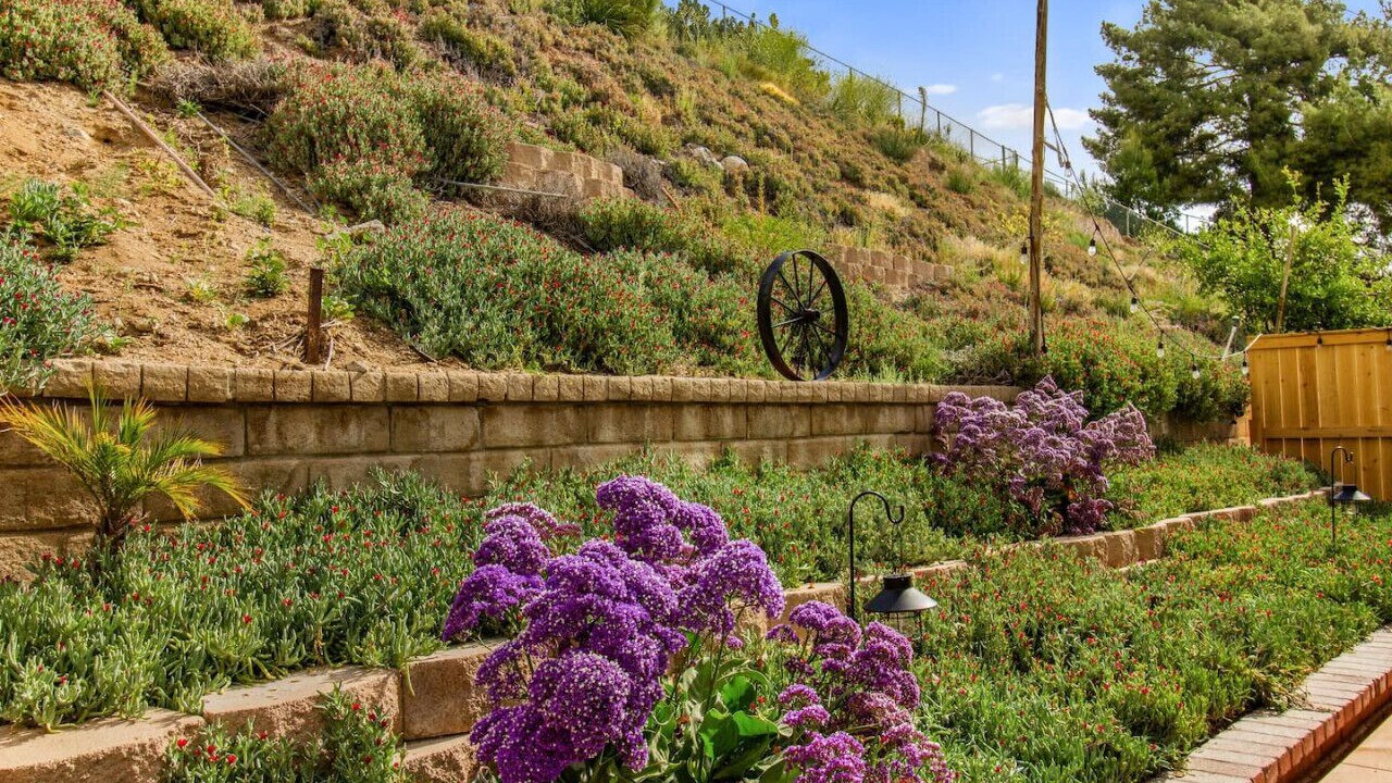 Photo of Outdoor in Canyon Country