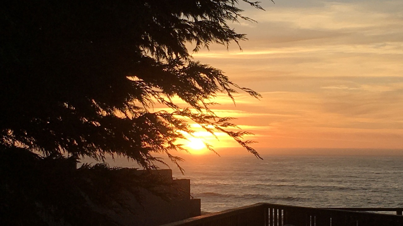 Photo of Outdoor in Smith River