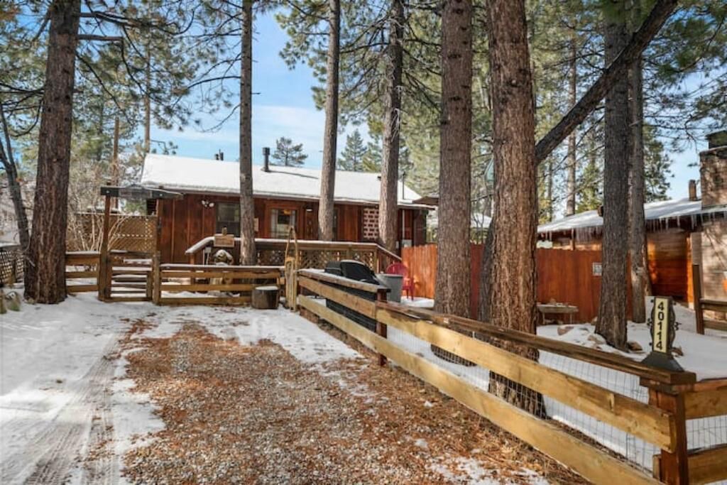 Photo of Outdoor in Patton