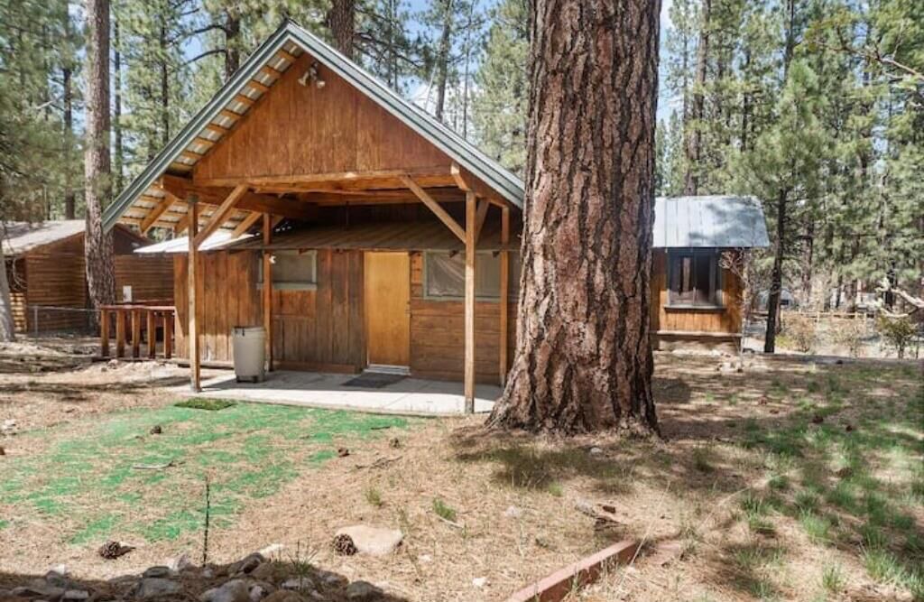 Photo of Outdoor in Big Bear City