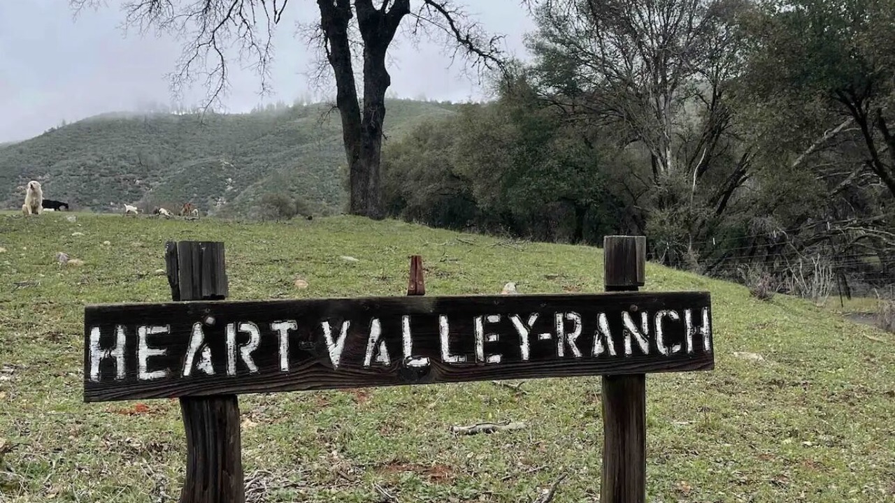 Photo of Outdoor in Groveland