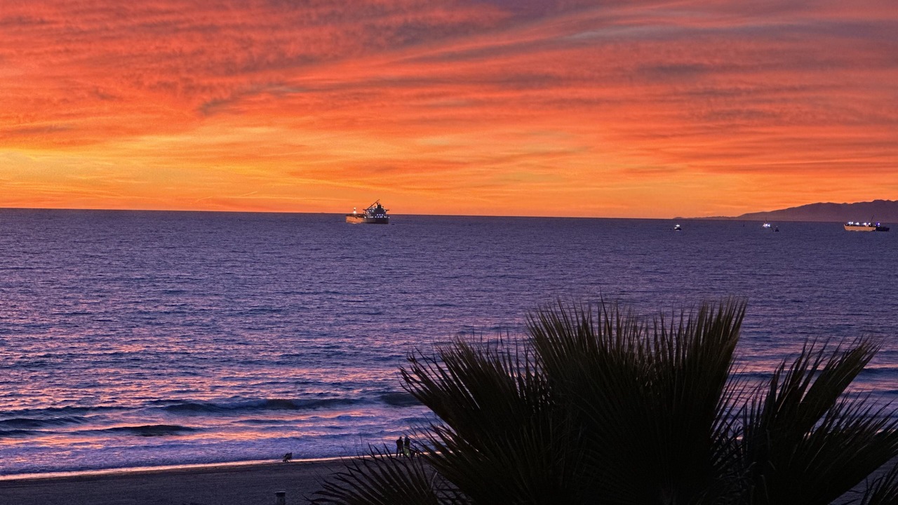 Photo of Others in Manhattan Beach