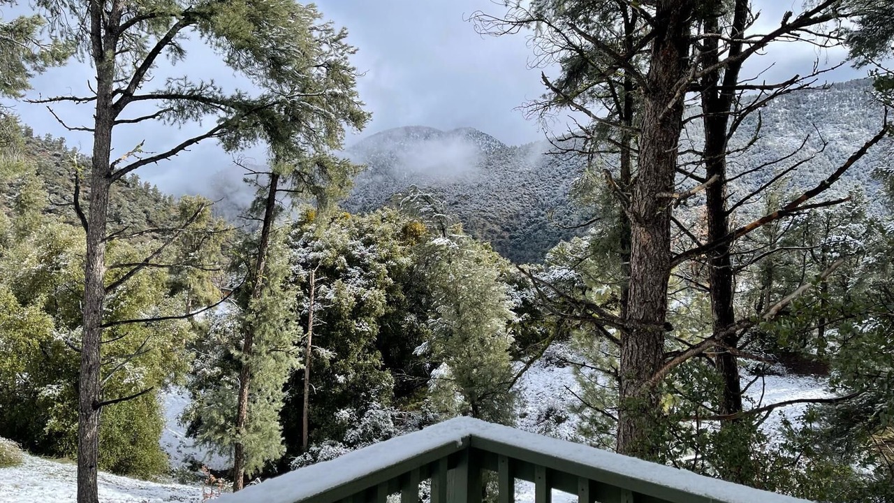 Photo of Others in Pine Mountain Club