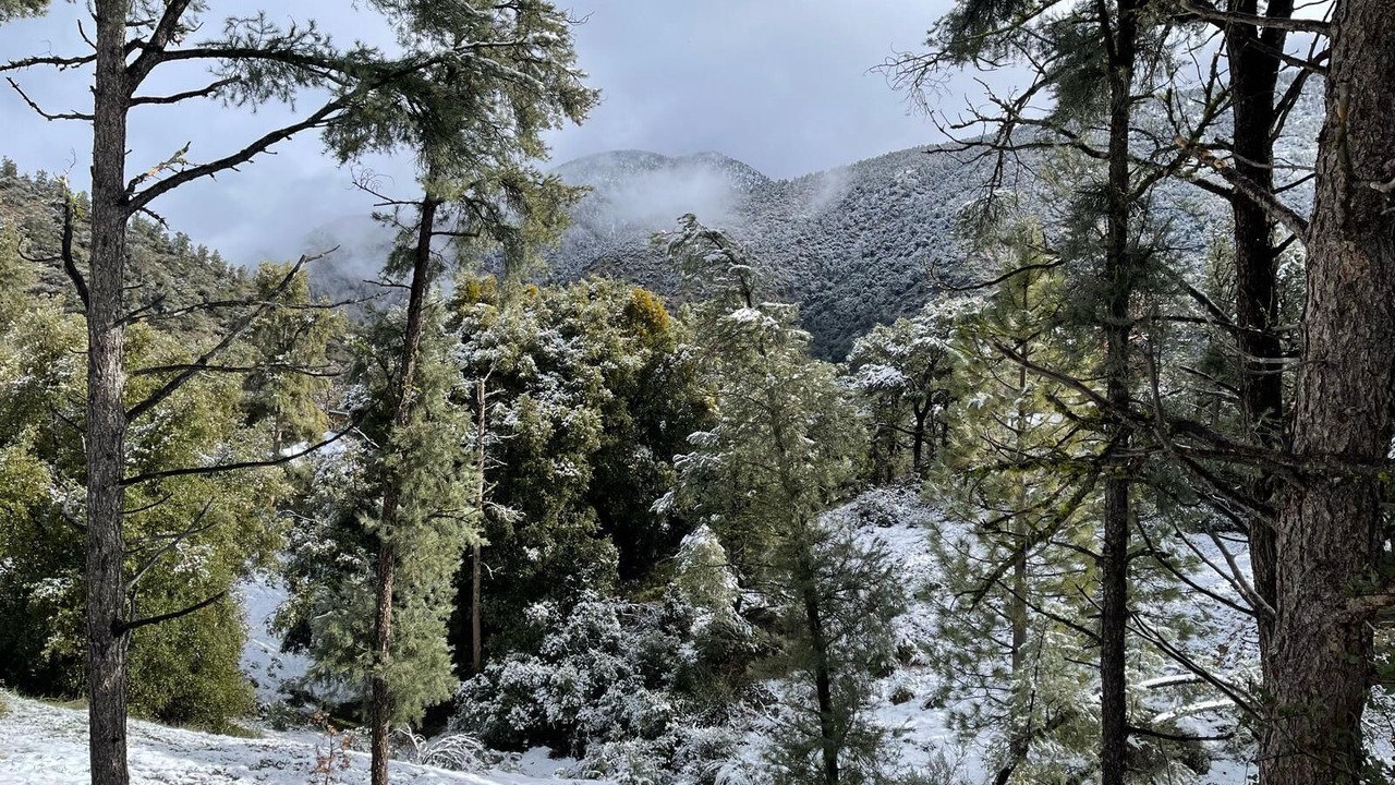 Photo of Others in Pine Mountain Club