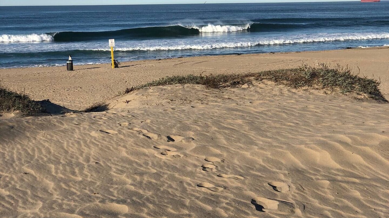 Photo of Others in South Redondo