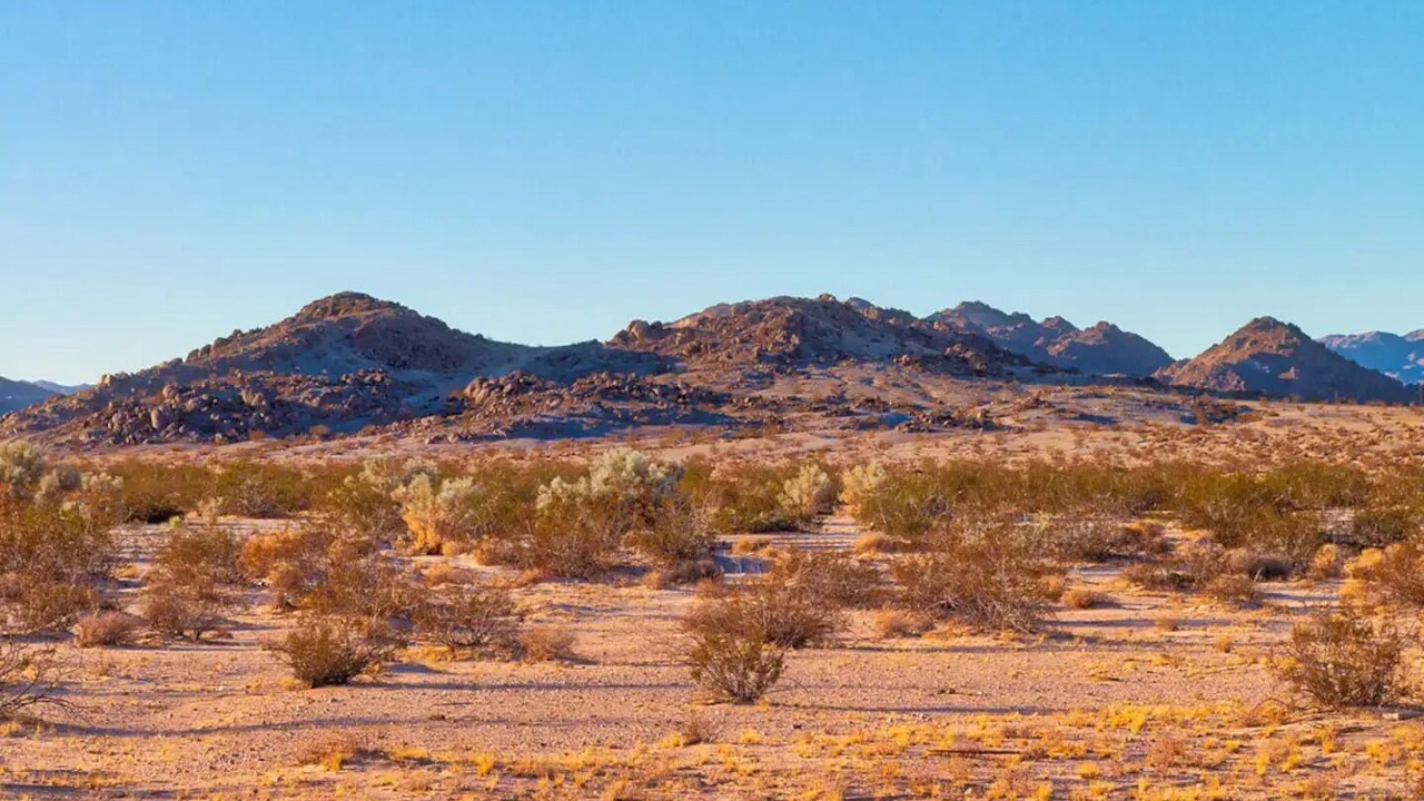 Photo of Others in Wonder Valley