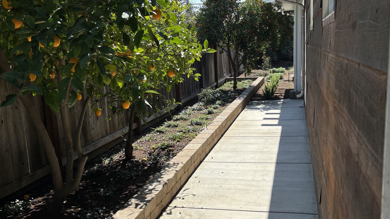 Photo of Outdoor in Fig Garden
