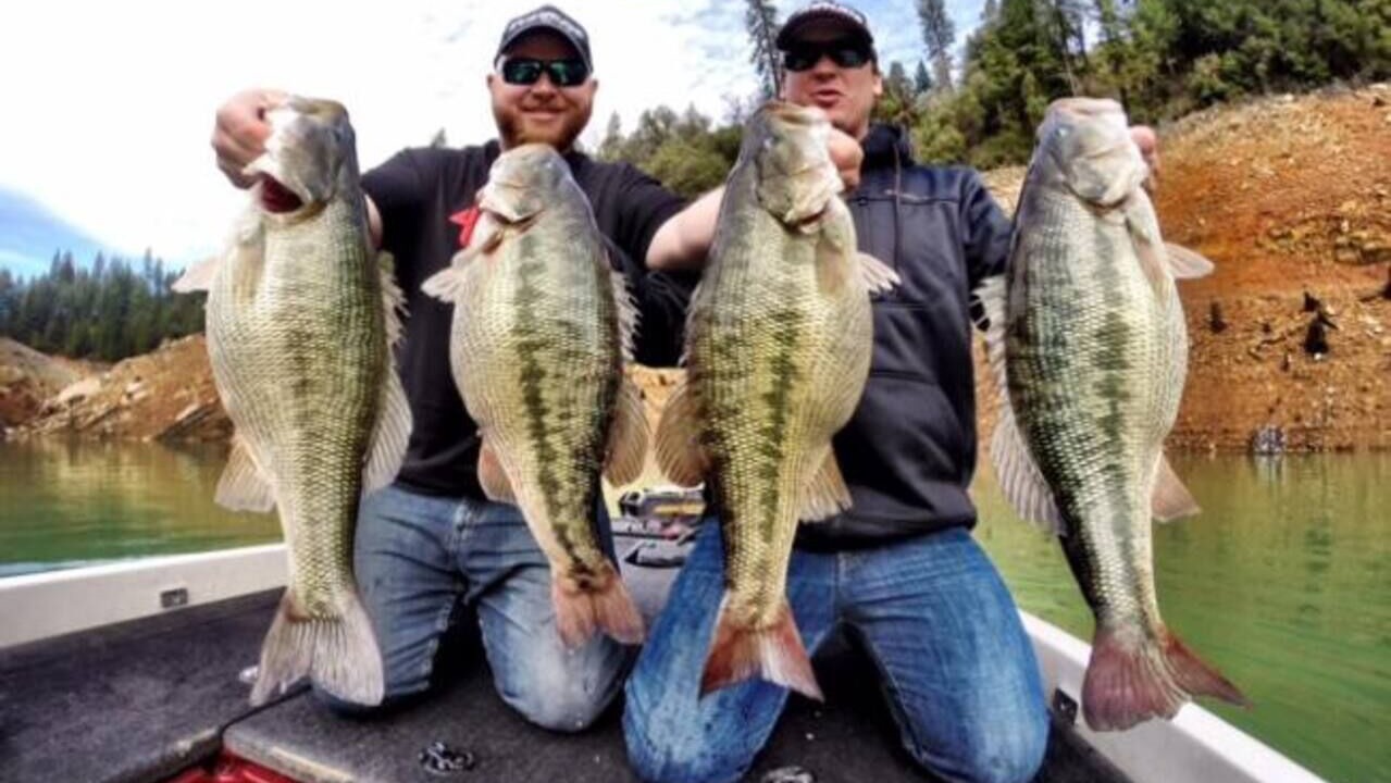 Photo of Others in Lakehead