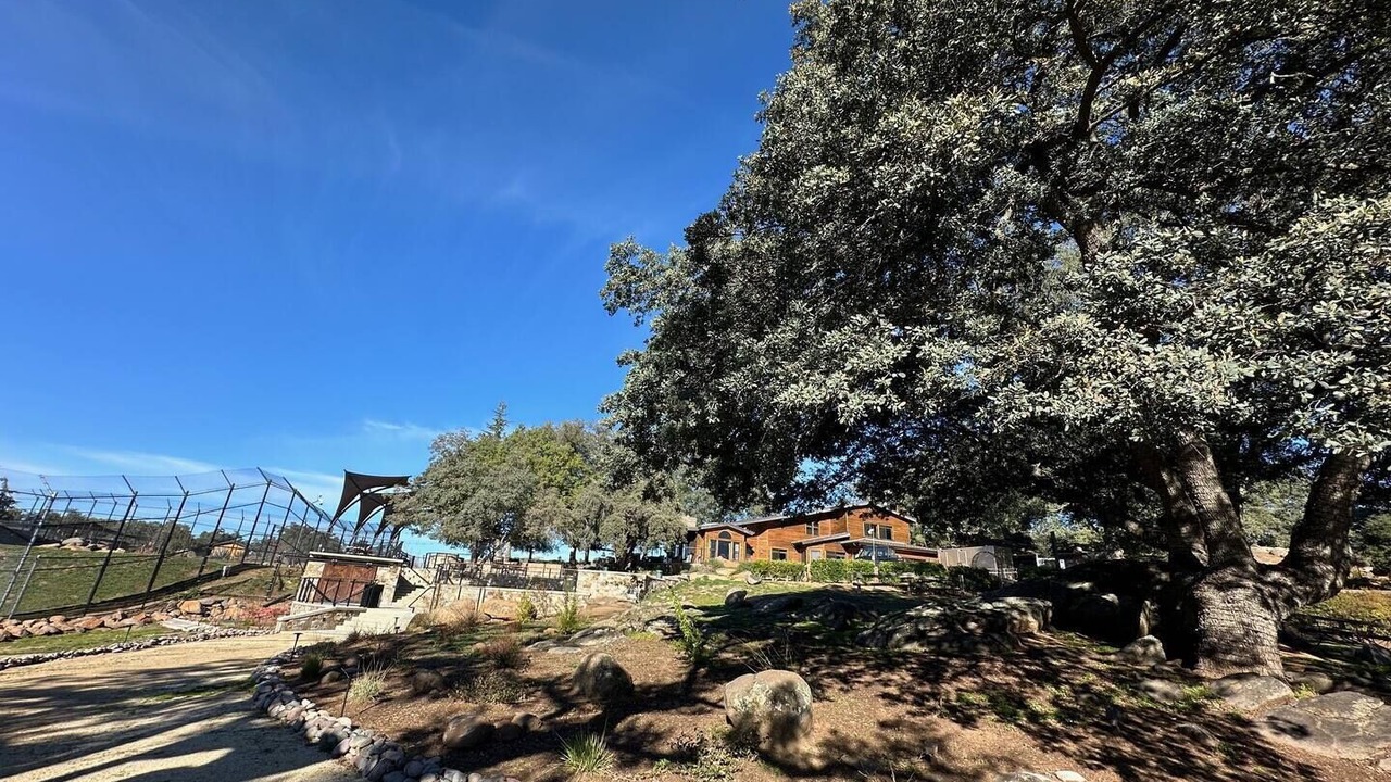 Photo of Outdoor in Alpine